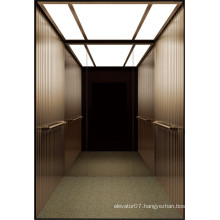 Fujizy Machine Room-Less Passenger Elevator Fjk8000-5